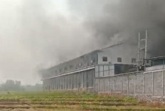 Diduga dari Percikan Las, Pabrik Sepatu di Dlanggu Mojokerto Dilalap Si Jago Merah
