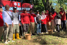 Peringati HUT ke 81 Kemerdekaan RI, BPDAS Brantas Sampean Tanam 81 Pohon