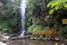 5 Air Terjun di Mojokerto yang Wajib Dikunjungi