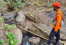Kemarau di Jember Mencekik, 3.340 KK Krisis Air Bersih! Musala Tutup Kamar Mandi, Bantuan Dikebut