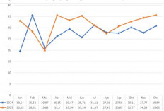 Libur Nataru Picu Lonjakan TPK Hotel di Mojokerto pada Desember 2025