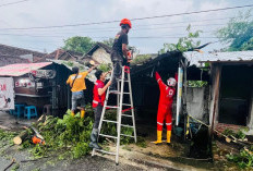 Hujan Angin, Dahan Trembesi Patah Timpa Tempat Cuci Motor di Mojokerto 