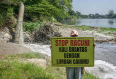 Tim Ronda Sungai Temukan Limbah Industri Mengalir ke Sungai Porong di Mojokerto, Bau Khas Pulp dan Kertas