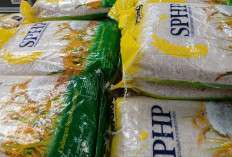 Bulog Mojokerto Siapkan Distribusi Beras SPHP dan MinyaKita untuk 80 Koperasi Merah Putih